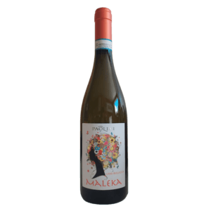 Maleka Bio Grillo – Cantine Paolini