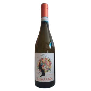 Maleka Bio Grillo – Cantine Paolini